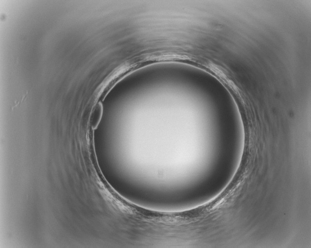 X0000060771189200511141249