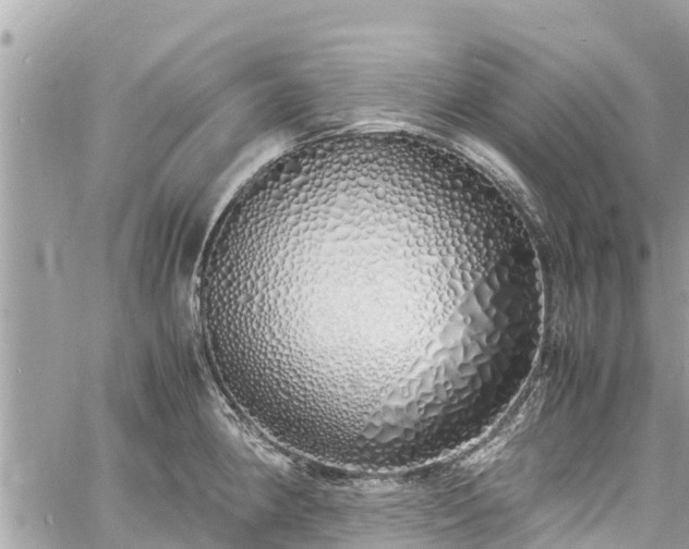 X0000060771190200511141249