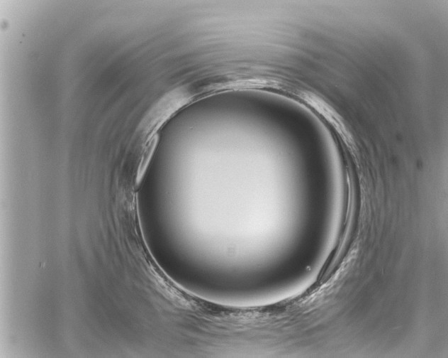 X0000060771193200511141249