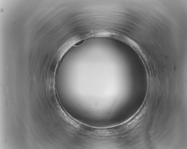 X0000060771194200511141249