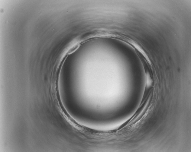 X0000060771197200511141249