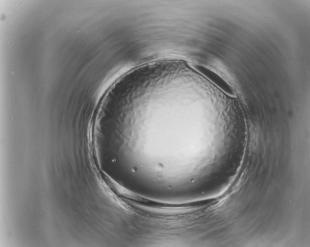 X0000060771198200511141249