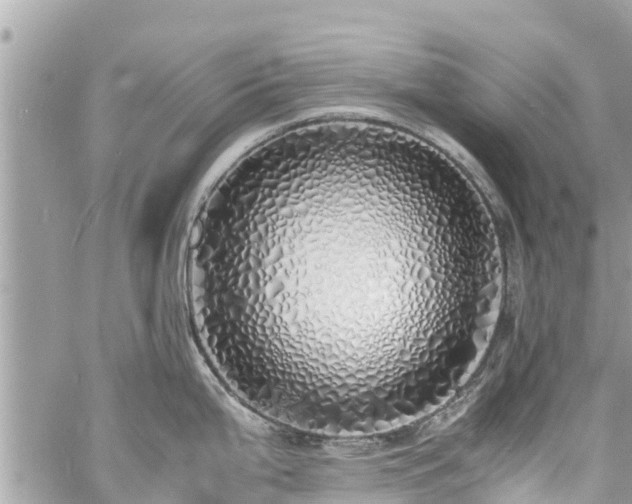 X0000060771199200511141249