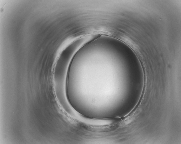 X0000060771200200511141249