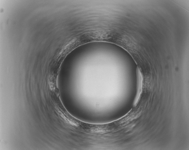 X0000060771202200511141248