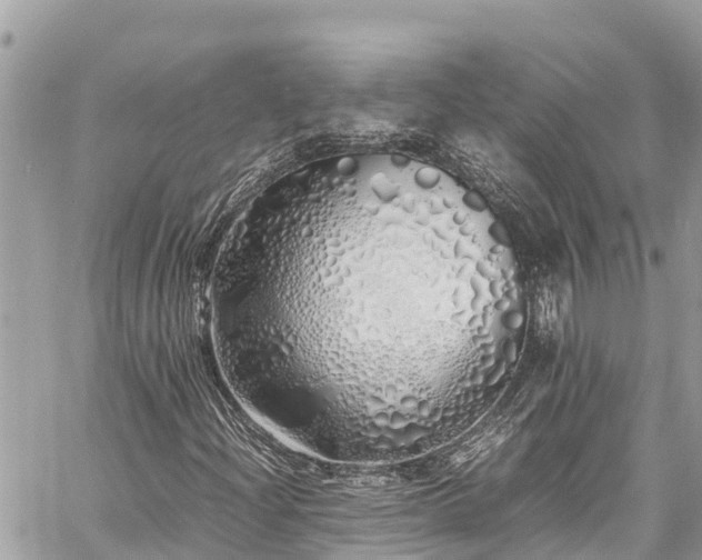 X0000060771204200511141248