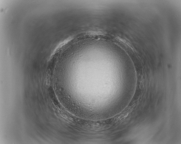 X0000060771207200511141248