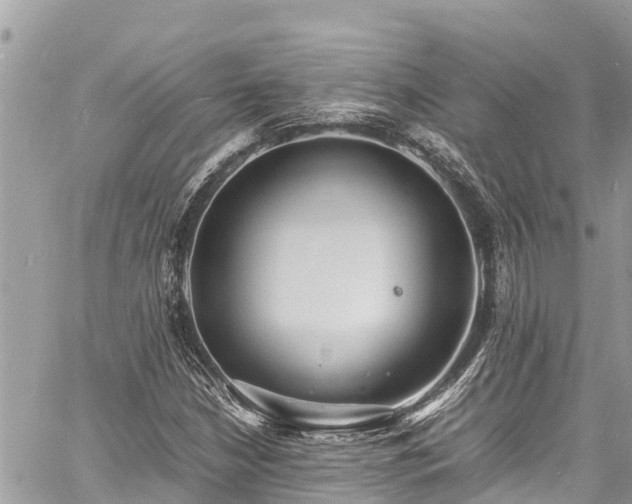 X0000060771210200511141248