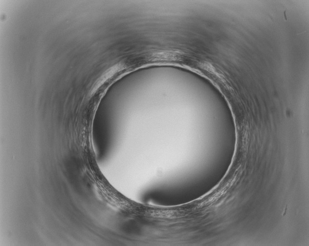 X0000060771211200511141248