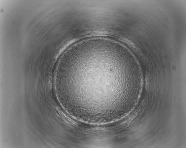 X0000060771212200511141248