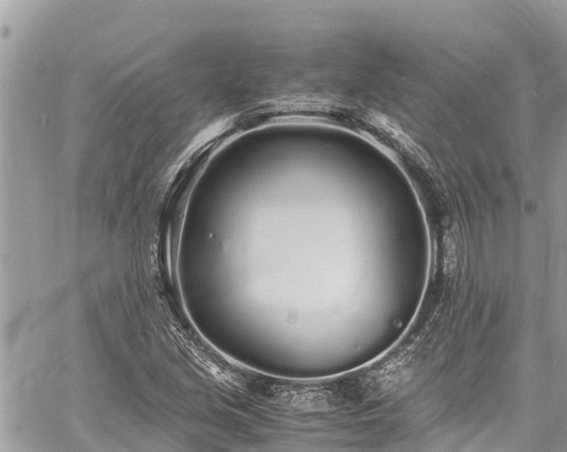 X0000060771213200511141248