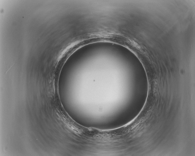 X0000060771214200511141248