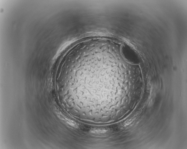 X0000060771215200511141248