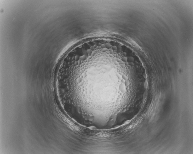 X0000060771216200511141248