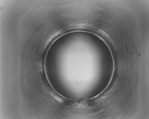 X0000060771218200511141248