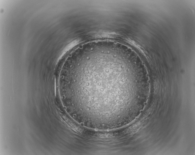 X0000060771219200511141248