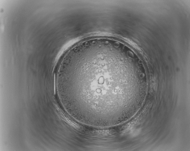 X0000060771223200511141248