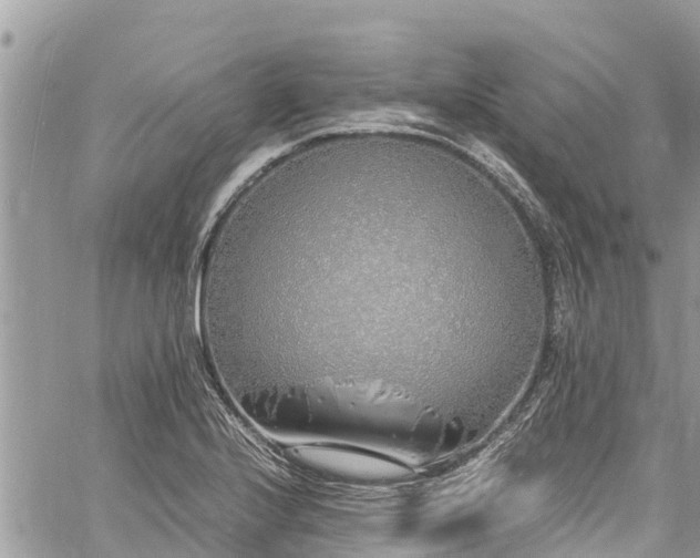 X0000060771224200511141249