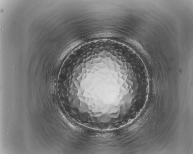 X0000060771225200511141249