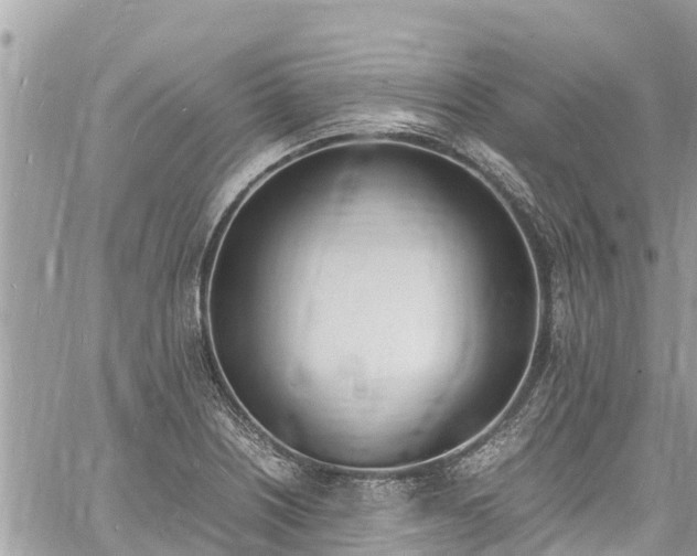 X0000060771226200511141249