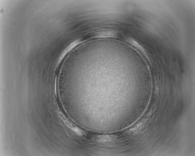 X0000060771227200511141249