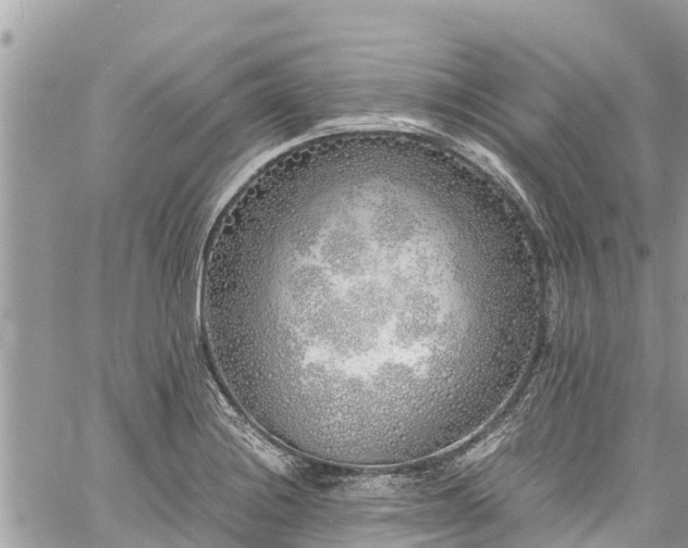 X0000060771228200511141249