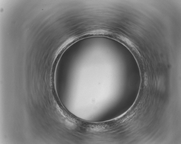 X0000060771229200511141249