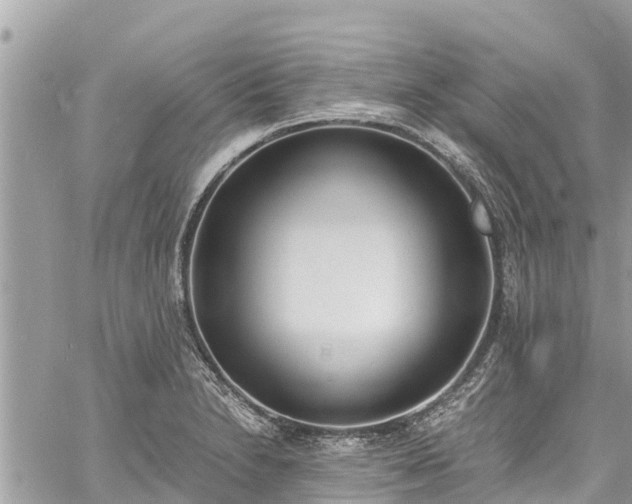 X0000060771230200511141249