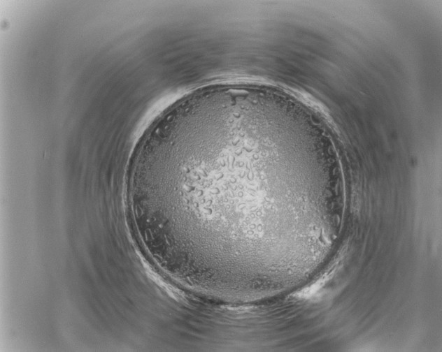 X0000060771231200511141249