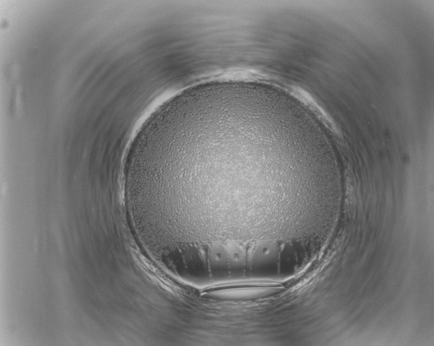 X0000060771232200511141249