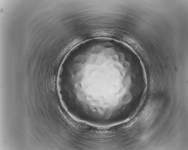 X0000060771233200511141249