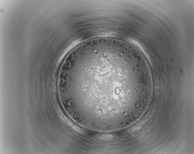 X0000060771235200511141249