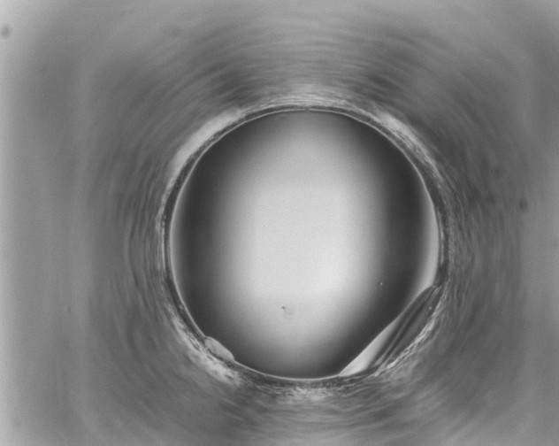 X0000060771238200511141249