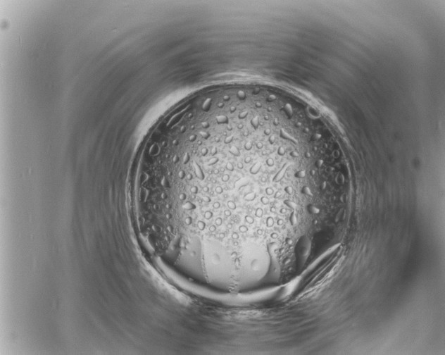 X0000060771239200511141249