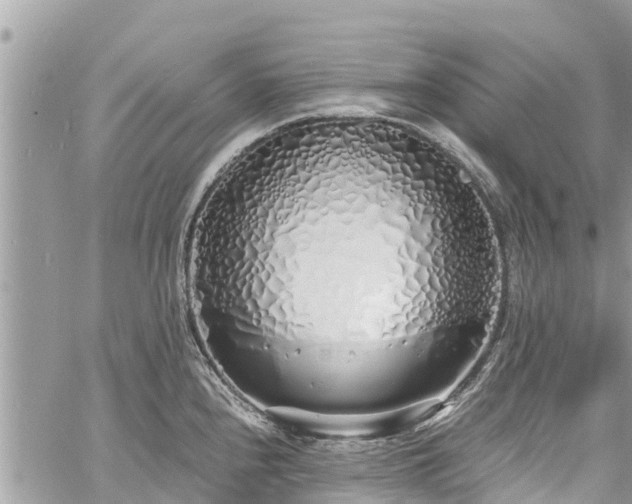 X0000060771240200511141249