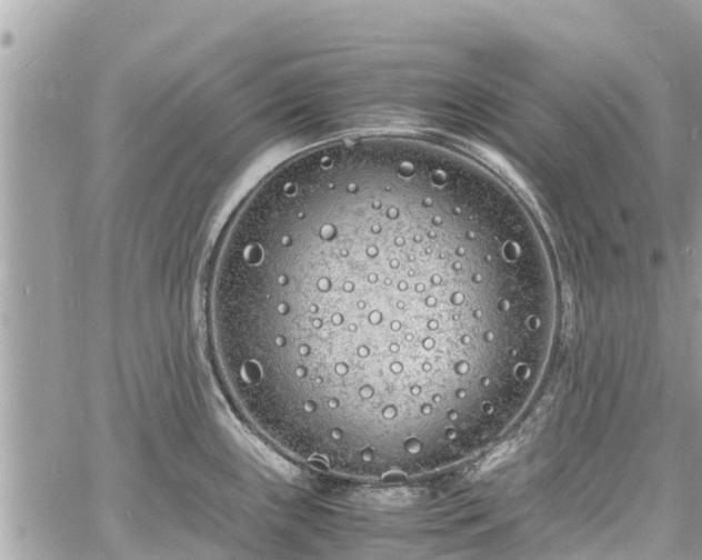 X0000060771243200511141249