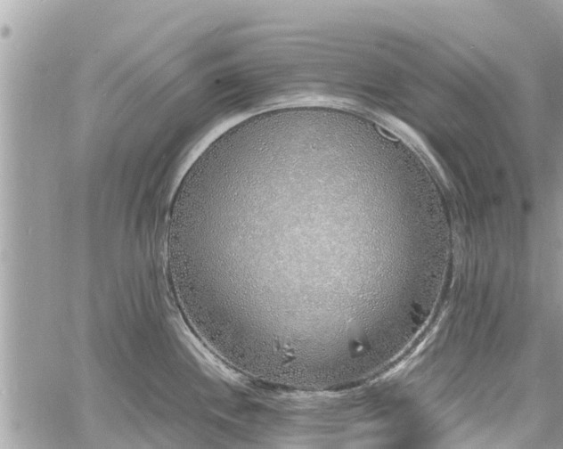 X0000060771244200511141249