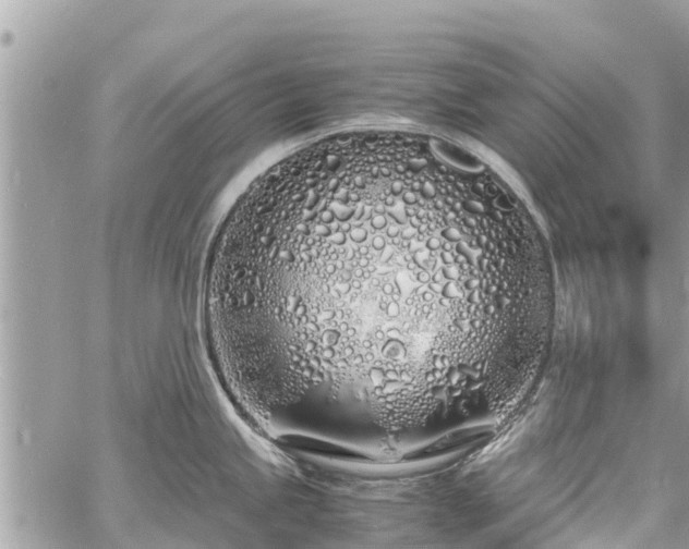 X0000060771245200511141249