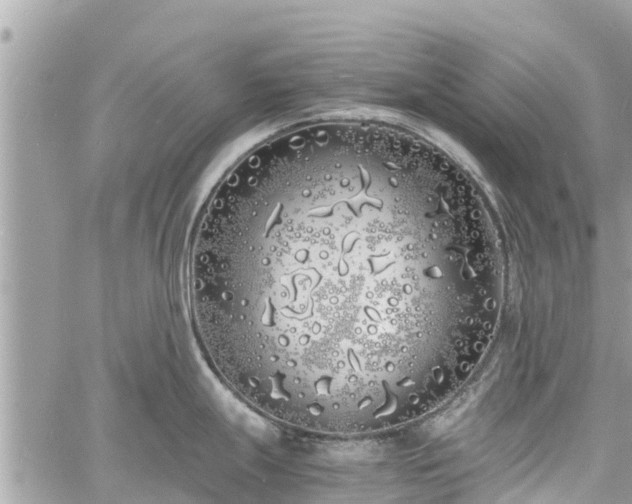 X0000060771247200511141249