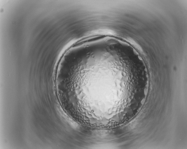 X0000060771248200511141249