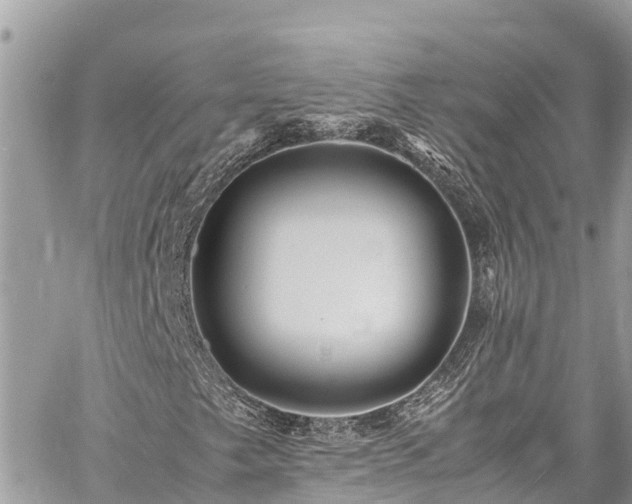 X0000060771249200511141248