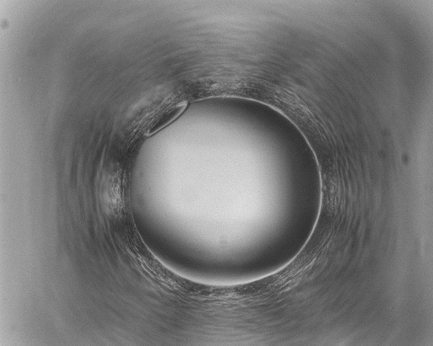 X0000060771250200511141248