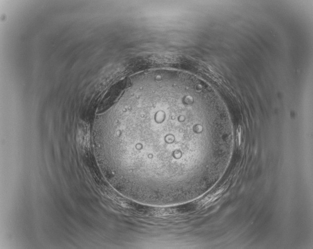 X0000060771251200511141248