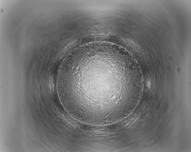 X0000060771252200511141248