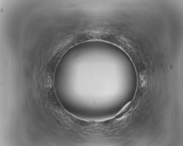 X0000060771253200511141248