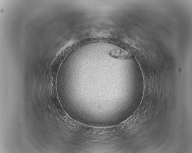 X0000060771254200511141248