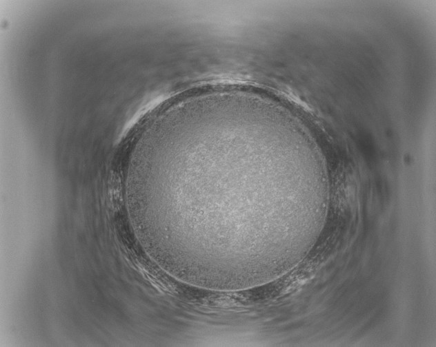 X0000060771255200511141248