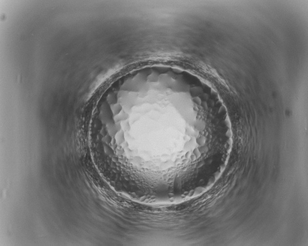 X0000060771256200511141248