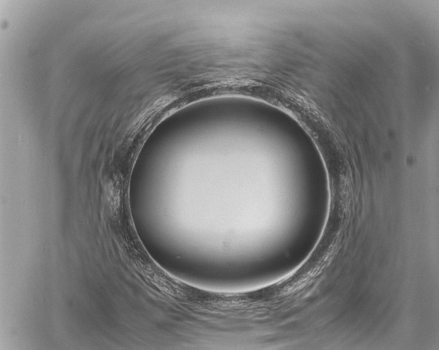 X0000060771257200511141248