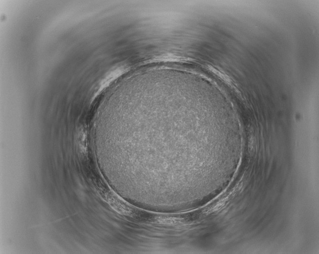 X0000060771258200511141248